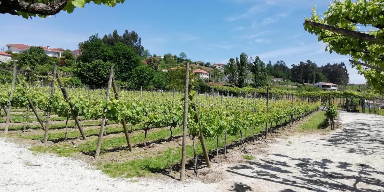 My Portugal For All - Lousada Villa Eksteriør bilde